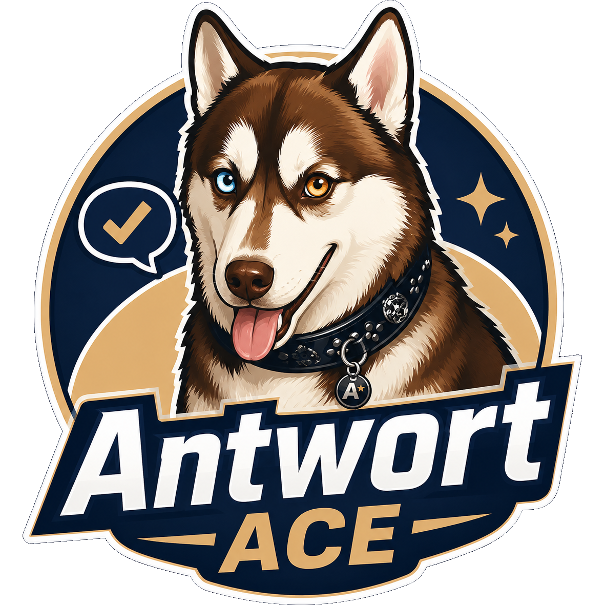 Antwort Ace, Husky als Antwort-Experte mit Check-Symbol