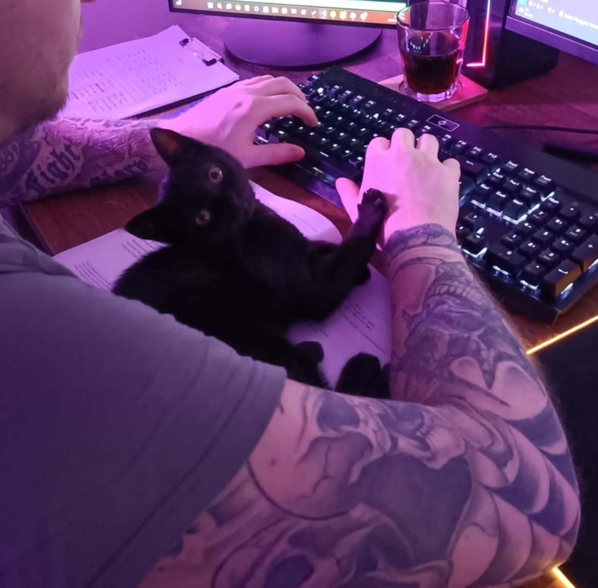 Die schwarze Katze Luna liegt auf dem Schoß einer Person vor einer Computertastatur und hält deren Unterarm mit einer Pfote fest.