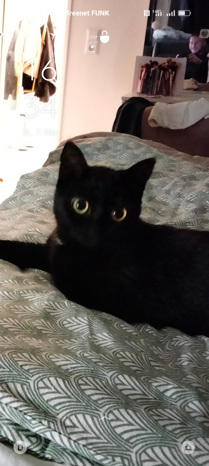 Die schwarze Katze Luna liegt auf einer grün gemusterten Bettdecke und schaut direkt in die Kamera; das Foto ist als Smartphone-Sperrbildschirm aufgenommen.